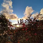 Casa Roberta * Monte de Brena