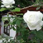 Casa Roberta