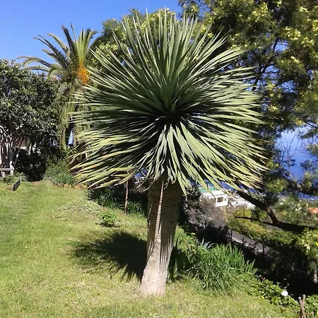 Holiday home Casa Roberta Monte de Brena