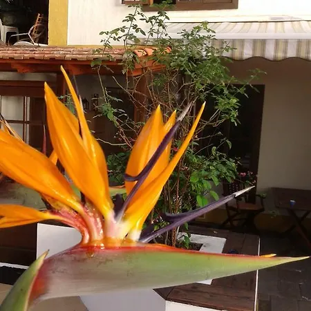 Casa Roberta Holiday home *