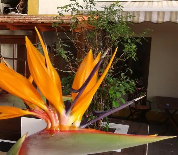 Casa Roberta Hébergement de vacances *