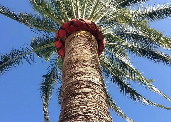 Hébergement de vacances Casa Roberta